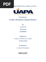 Terapia y Dinamica de Grupos - Evelyn Cabreja - Trabajo Final