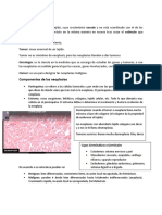 Resumen Final Lab Patologica