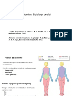 ANATOMIE 