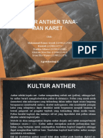 Tugas PPT Kelompok 4 Tentang Anther Tanaman Karet