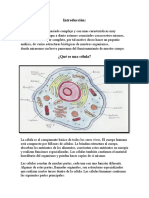 Bases Biológicas