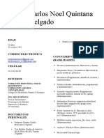 Formato Curriculum-Vitae Profesional