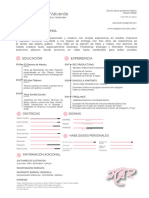 Curriculum Vitae Diseñador Grafico