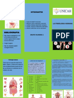 Trifolio Ramas de La Biologia