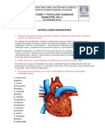 Cuestionario Previo Sistema Cardiorespiratorio