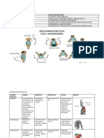 Tabla de Origen e Insersion de Musculos Extremidades