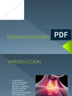 Sistema Endocrino22