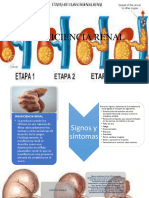 Insuficiencia Renal