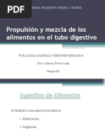 Propulsión y Mezcla de Los Alimentos en El