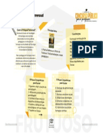 06 Mapa Resumo Mental - As 10 Competências de Perrenoud..