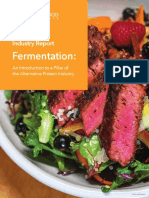 Fermentation - Alternative Protein Industry