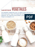 Leches Vegetales