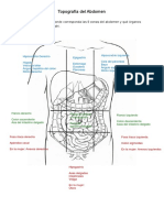 Topografía Del Abdomen