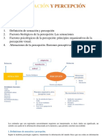 Sensación y Percepción