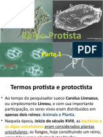 Reino Protista - Parte 01