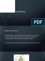 Sistema Linfatico 1