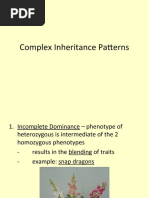 Complex Inheritance Patterns