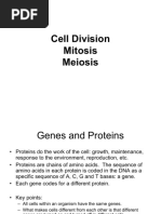 Cell Division