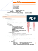 2 Era Fisiología