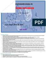 Planificación Anual de Cs. Naturales 6to Grado - 2022