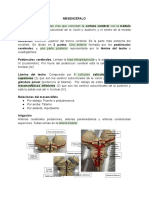 7 Mesencéfalo LabNeuroanato