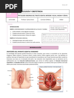 Tema 19 - Patología Orgánica Del Tracto Genital Inferior