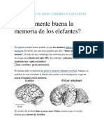 Se Lo Deben A Su Gran Cerebro y Excelente Olfato