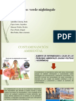 SP 1 Contaminacíon. Ambiental Actual