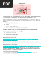 Aminoácidos