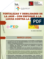 Fortalezas y Debilidades de La Jass