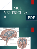 Sistemul Ventricular