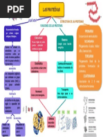 Mapa Proteinas