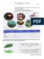 Trabajo Práctico Evaluativo de Ciencias Naturales