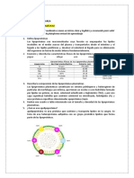 Guia de Estudio Lipoproteinas Plasmaticas 3-2021