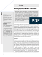 Sonograpy of The Scrotum