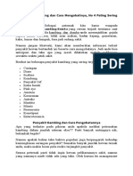 15 Penyakit Kambing Dan Cara Mengobatinya