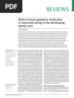 Roles of Axon Guidance Molecules