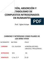 Digestión, Absorcion y Metabolismo de Compuestos Nitrogenados