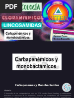 Carbapenemes y Monobactamos