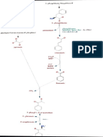 Ephoderin Biosynthesis