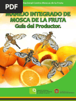 Moscasdelafruta