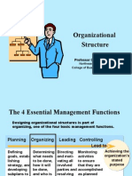 Organizational Structure