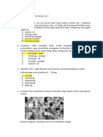 Soal Biologi Kelas Xii Mipa 2022