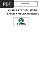 CHARLA DE SEGURIDAD - Molle