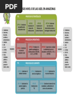 Mapa de Procesos de Las UGEL en Amazonas - NIVEL 0