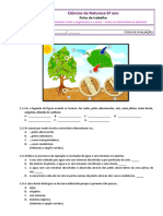 Ficha de avaliaçãoCN6