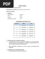 Informe de Trabajo Aporoma