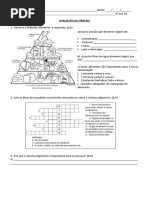 Avaliação de Ciências - 5º Ano