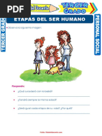 Etapas Del Ser Humano para Tercer Grado de Primaria