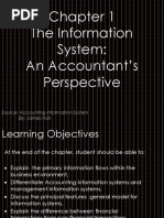 Chapter 1 The Information System An Accountant's Perspective